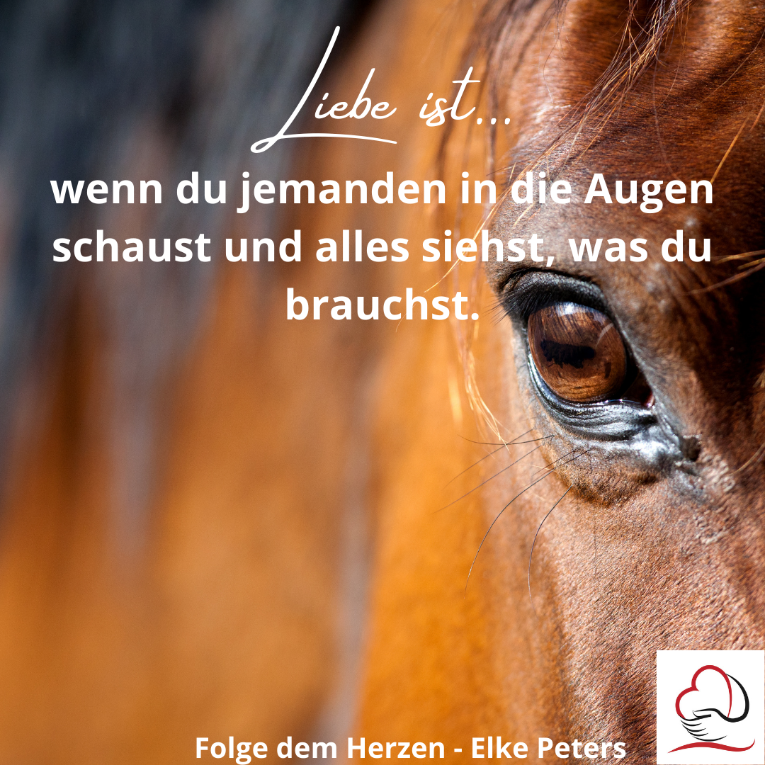 www.folgedemherzen.de TIERISCHE SPRÜCHE